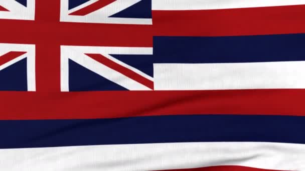 Bandiera nazionale delle Hawaii che batte sul vento — Video Stock