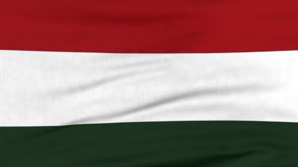 Флаг Венгрии, развевающийся на ветру — стоковое видео