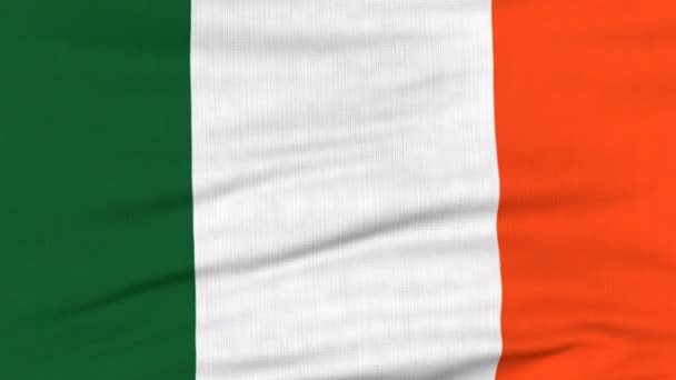 Nationale vlag van Ierland vliegen op de wind — Stockvideo