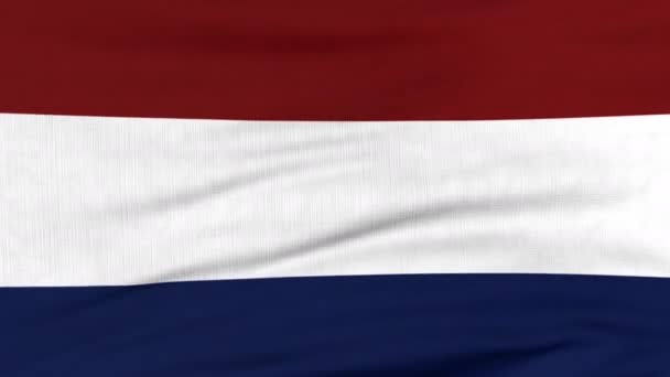 Nationalflagge Hollands weht im Wind — Stockvideo