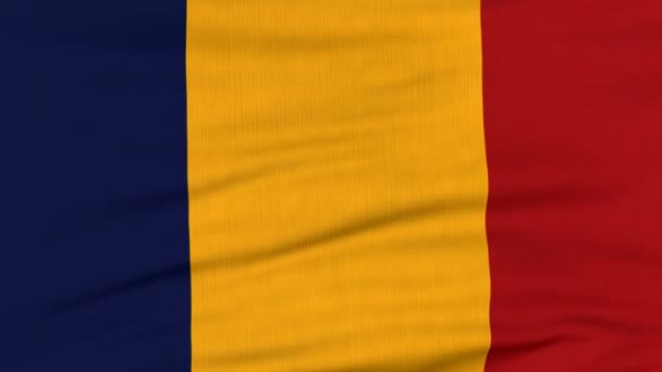 Bandiera nazionale della Romania che batte sul vento — Video Stock