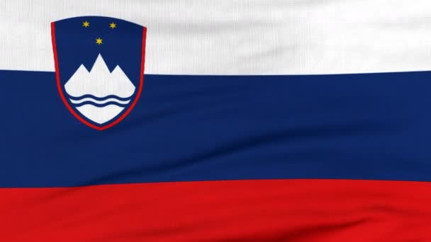 Die slowenische Nationalflagge weht im Wind — Stockvideo