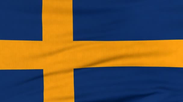 Bandeira nacional da Suécia voando ao vento — Vídeo de Stock