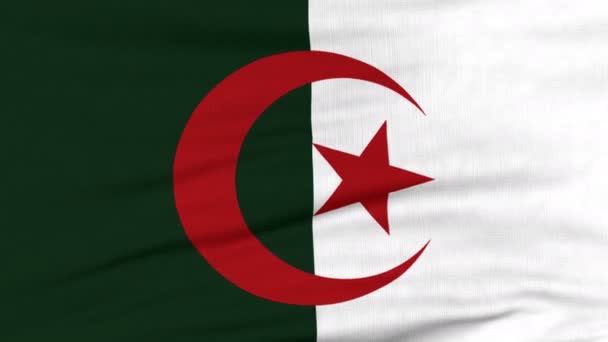 Die algerische Nationalflagge weht im Wind — Stockvideo