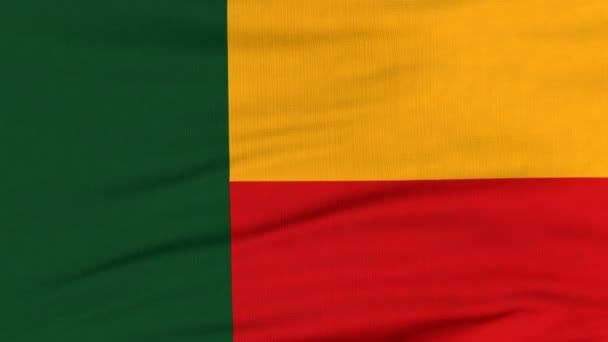 Vlajka Benin plující ve větru — Stock video