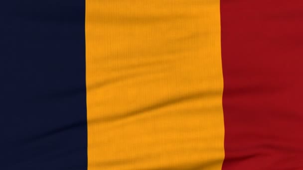 Csád nemzeti zászlója a szélen repül — Stock videók