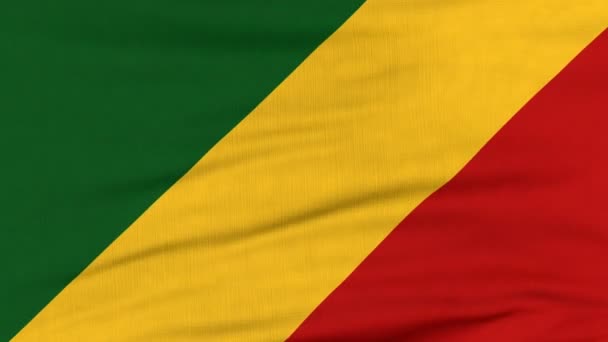 Государственный флаг Конго, развевающийся на ветру — стоковое видео