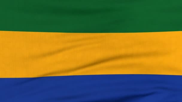 Drapeau national du Gabon flottant au vent — Video