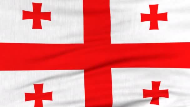 Государственный флаг Грузии, развевающийся на ветру — стоковое видео