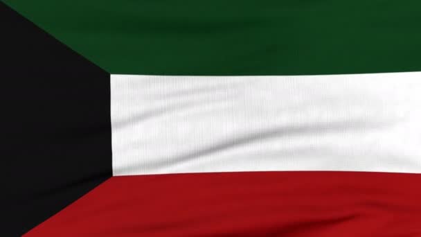 Bandiera nazionale del Kuwait che batte sul vento — Video Stock