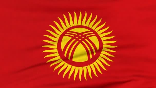 National flag of Kyrgyzstan flying on the wind — Stock Video