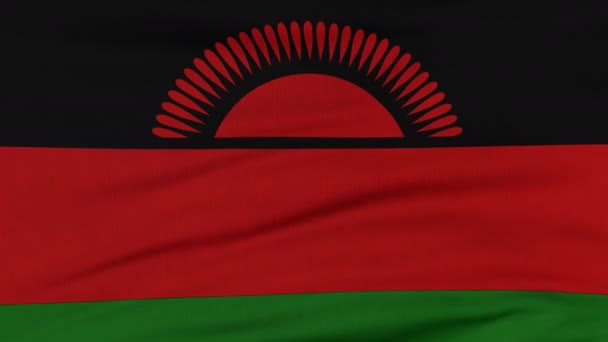 Bandeira nacional do Malawi voando ao vento — Vídeo de Stock