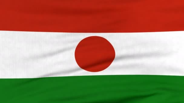 Drapeau national du Niger flottant au vent — Video