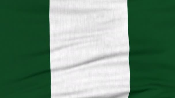 Bandera nacional de Nigeria ondeando en el viento — Vídeo de stock