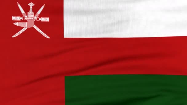 Bandera nacional de Omán ondeando en el viento — Vídeo de stock