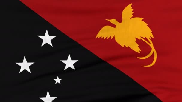 Nationalflagge von Papua Neuguinea weht im Wind — Stockvideo