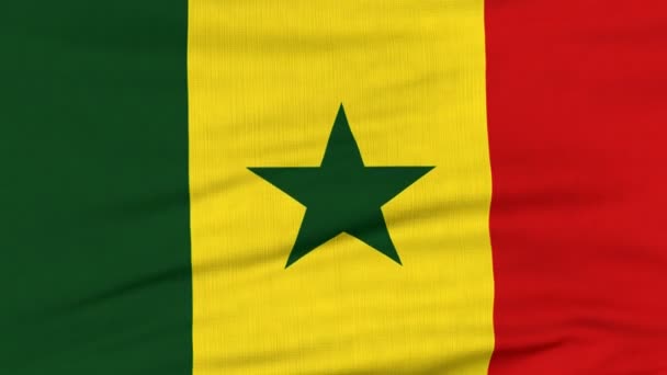 National flag of Senegal flying on the wind — Stock Video