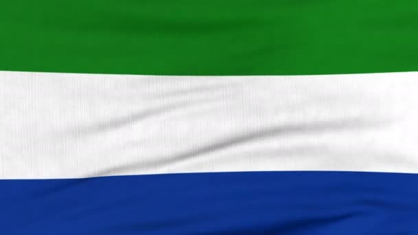Bandera nacional de Sierra Leona ondeando en el viento — Vídeo de stock