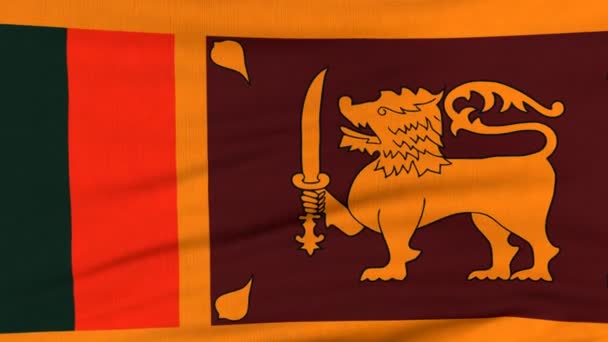 Nationale vlag van Sri Lanka vliegen op de wind — Stockvideo