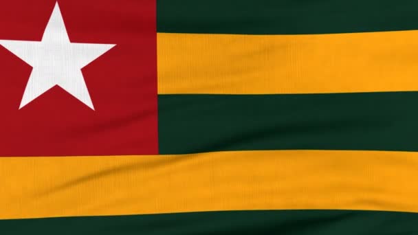 Bandeira nacional do Togo voando ao vento — Vídeo de Stock