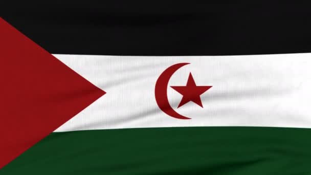 Drapeau national du Sahara Occidental flottant au vent — Video