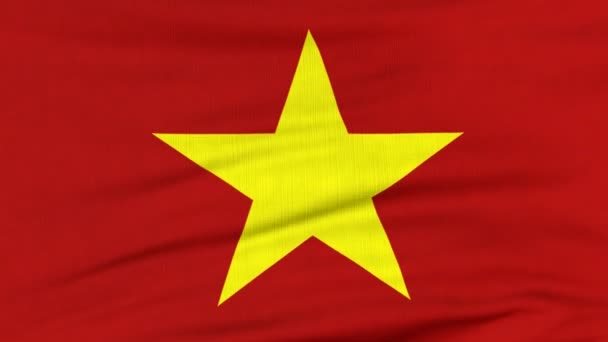 Bandera nacional de Vietnam ondeando en el viento — Vídeos de Stock