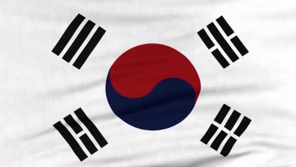 Nationale vlag van Zuid-Korea vliegen op de wind — Stockvideo