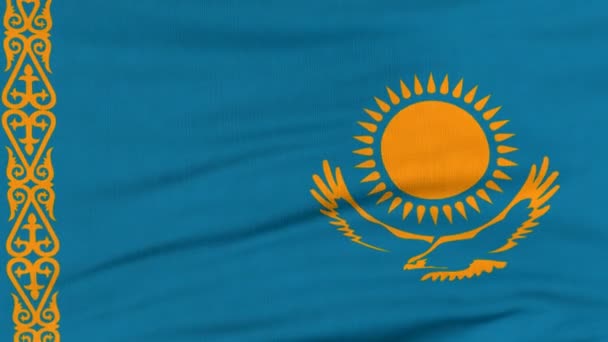 Государственный флаг Казахстана, развевающийся на ветру — стоковое видео