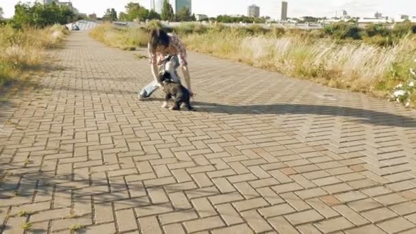 Joven mujer jugando con poco lindo perro al aire libre — Vídeo de stock