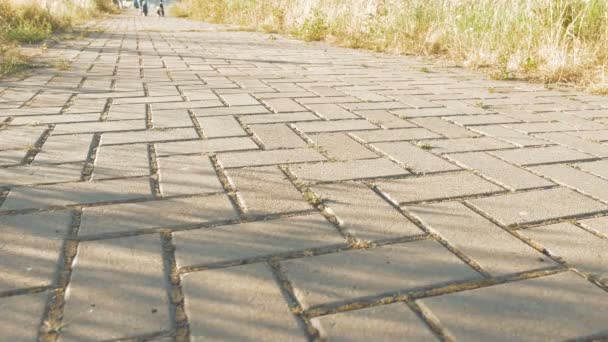 Joven mujer pies caminando con poco divertido perro — Vídeos de Stock