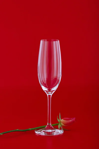 Wine glass with rose flower over red — Stock Photo, Image