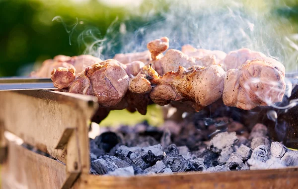 Spiedini da barbecue con carne — Foto Stock