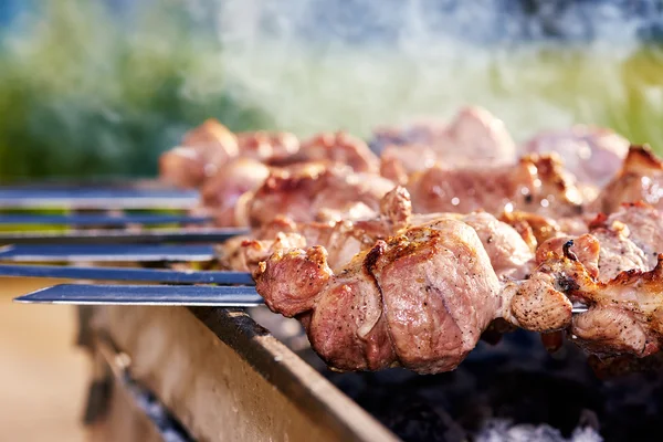 Spiedini da barbecue con carne — Foto Stock