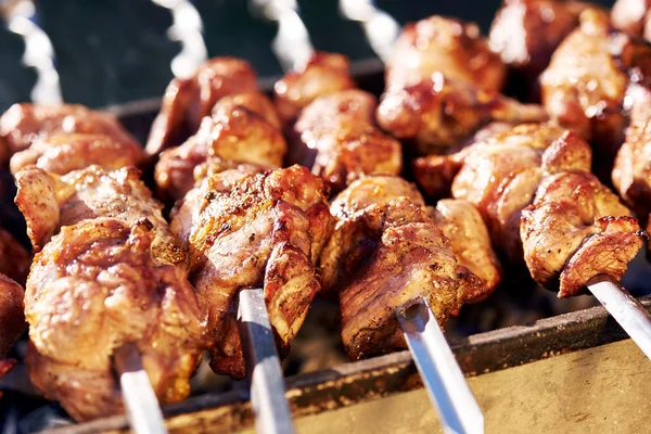 Brochetas de barbacoa con carne — Foto de Stock