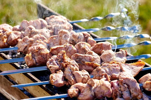 Spiedini da barbecue con carne — Foto Stock