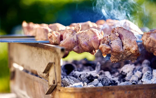 Spiedini da barbecue con carne — Foto Stock