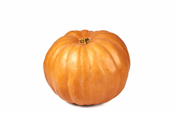 Pumpkin — Stock Photo, Image