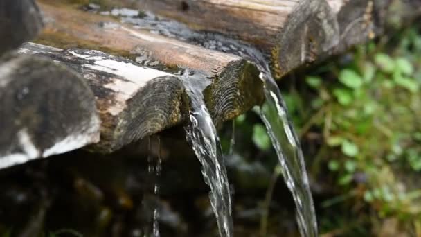 Bergquelle mit sauberem Wasser — Stockvideo