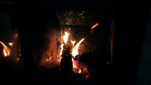 Camino. Fiamma ardente . — Video Stock