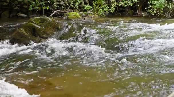 Gebirgsbach mit Stromschnellen — Stockvideo