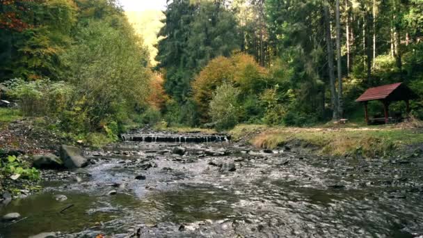 Gebirgsbach mit Stromschnellen — Stockvideo