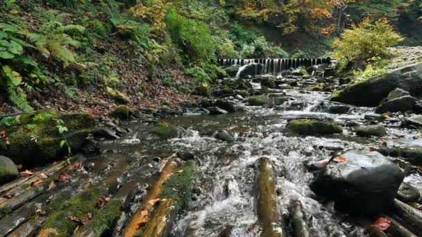 Río de la montaña con rápidos — Vídeos de Stock