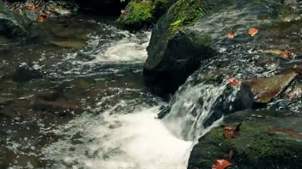 Водопад в горах — стоковое видео