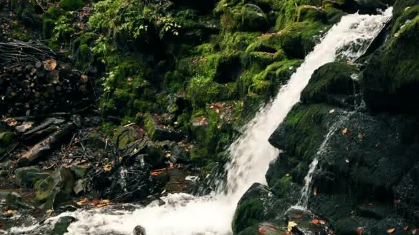 Waterfall in mountains — Stock Video