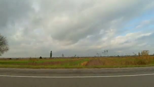 Camino de conducción a lo largo de campos de campo — Vídeo de stock