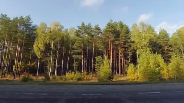 Jazdy drogą wzdłuż lasu — Wideo stockowe