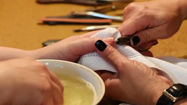 Tratamento de manicure. Tinta e polimento . — Vídeo de Stock