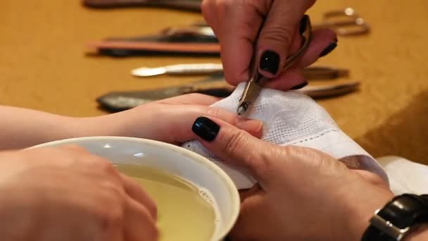 Tratamiento de manicura. Pintura y esmalte . — Vídeos de Stock