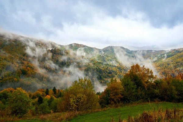 Berglandschaft mit Wolken und bunten Bäumen — Stockfoto
