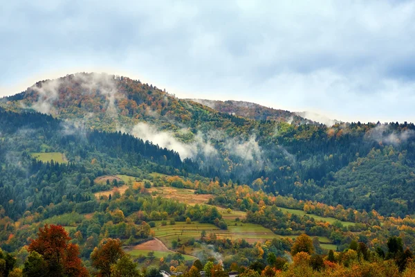 Mountain landscape with clouds and colorful trees — Stock Photo, Image